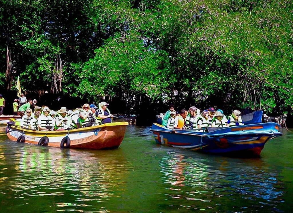 Madu River Safari places near Bentota Sril Lanka