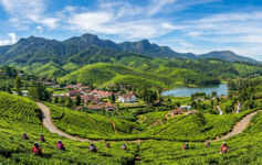 Panoramic view of Nuwara Eliya hill station surrounded by lush tea plantations and misty mountains in Sri Lanka