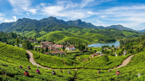 Panoramic view of Nuwara Eliya hill station surrounded by lush tea plantations and misty mountains in Sri Lanka