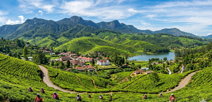 Panoramic view of Nuwara Eliya hill station surrounded by lush tea plantations and misty mountains in Sri Lanka
