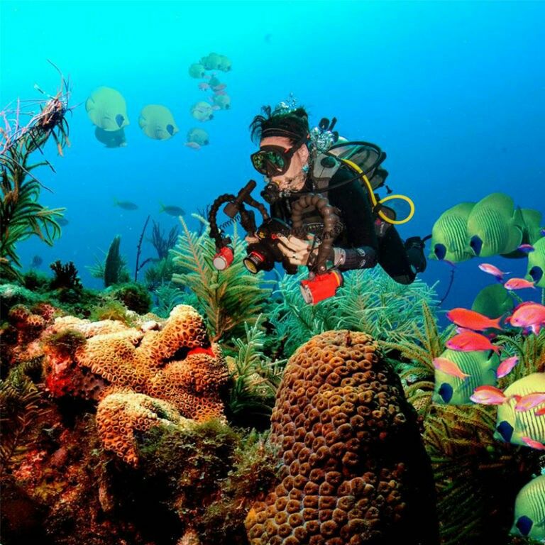Scuba diving in Hikkaduwa with colorful coral reefs and tropical marine life
