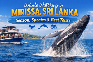 Beautiful scenic view of Sri Lanka featuring lush green landscapes, mountains, and tropical nature