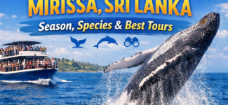 Beautiful scenic view of Sri Lanka featuring lush green landscapes, mountains, and tropical nature