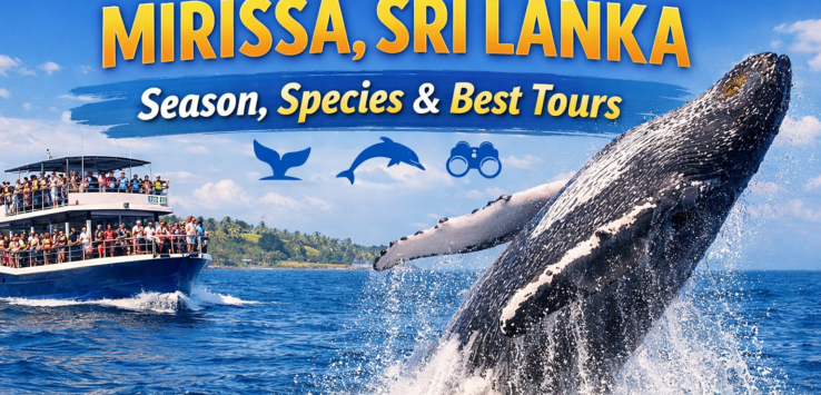 Beautiful scenic view of Sri Lanka featuring lush green landscapes, mountains, and tropical nature