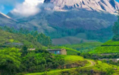 Scenic hill station landscape in Tamil Nadu with lush green hills and misty valleys