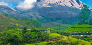 Scenic hill station landscape in Tamil Nadu with lush green hills and misty valleys