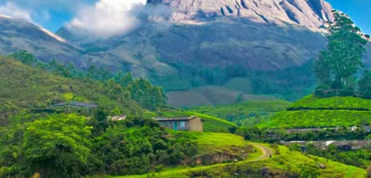 Scenic hill station landscape in Tamil Nadu with lush green hills and misty valleys