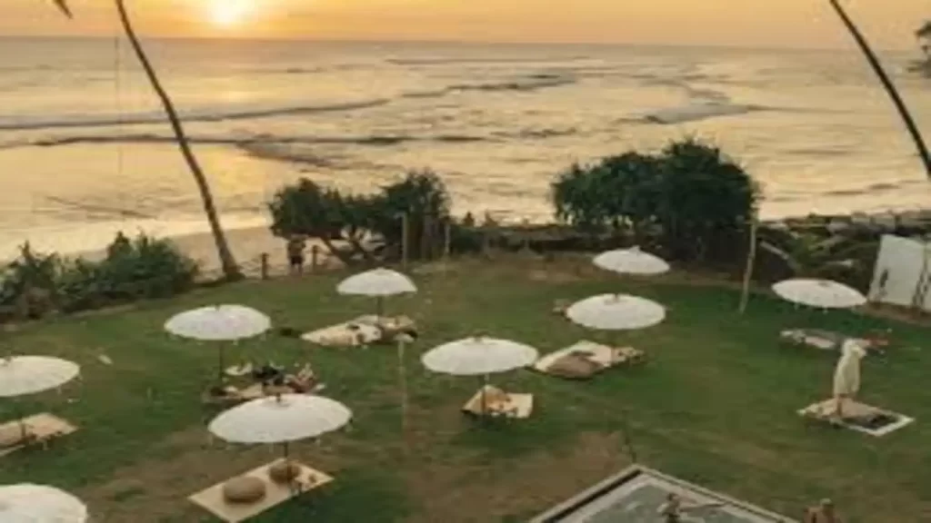 Dreamsea Surf Camp in Sri Lanka featuring beachfront lounge umbrellas, palm trees, and a stunning sunset view over the ocean waves