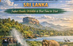 Safari jeep with tourists watching elephants in Hurulu Eco Park, Sri Lanka, with a leopard in a tree and Sigiriya rock in the background
