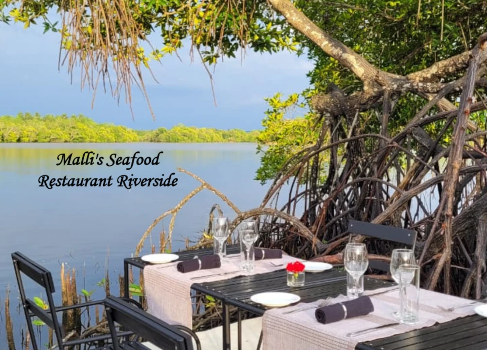 Restaurants in bentota Malli's Seafood Restaurant Riverside in Bentota, Sri Lanka