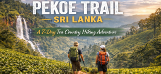 Two hikers walking through lush tea plantations on Sri Lanka’s Pekoe Trail with misty mountains and a waterfall in the background
