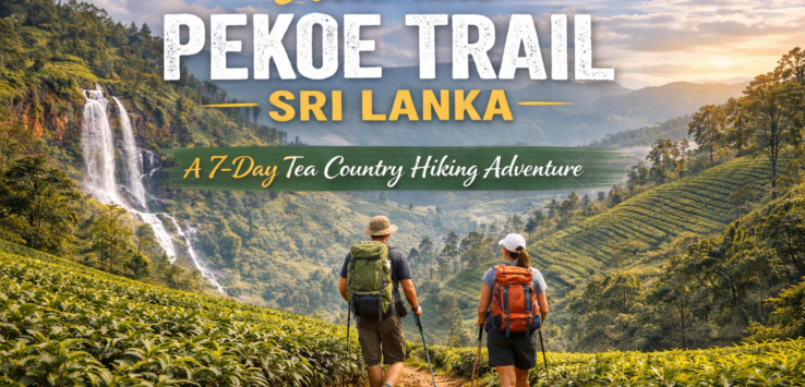 Two hikers walking through lush tea plantations on Sri Lanka’s Pekoe Trail with misty mountains and a waterfall in the background