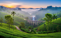 A panoramic view of a misty tea plantation in the Sri Lankan hill country, featuring rolling green hills, a cascading waterfall, and the iconic Nine Arches Bridge.