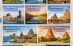 Visit in Tamil Nadu Beautiful collage of top tourist places in Tamil Nadu including temples, hill stations, beaches, and cultural landmarks