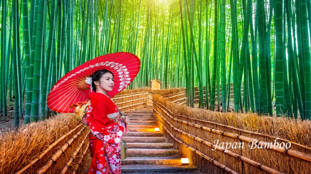 A woman wearing a traditional red kimono and holding a matching parasol walks up illuminated stone steps inside the Arashiyama Bamboo Grove during a 7 days tour in Japan.