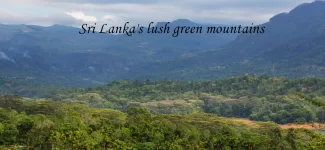 A wide panoramic vista of Sri Lanka's lush green mountains and misty valleys, showcasing the scenic landscapes found across various hill stations in Sri Lanka.