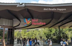 Visitors gathering at the main entrance of Bird Paradise Singapore under a large modern canopy with the colorful park logo