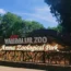 Main entrance sign of Vandalur Zoo Chennai at Arignar Anna Zoological Park surrounded by lush greenery and natural landscapes.