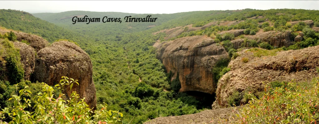 Aerial top view of Gudiyam Caves in Tiruvallur surrounded by rocky terrain and lush greenery