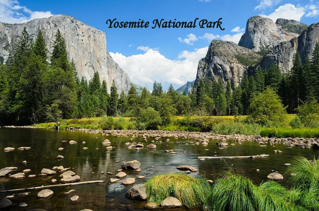 Yosemite Valley landscape near Yosemite Valley Lodge and the Merced River