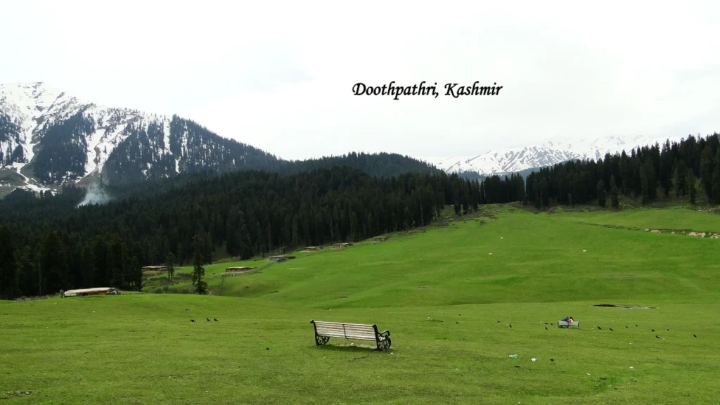 Doodhpathri Kashmir with lush green meadows, pine forests and snow-capped mountains