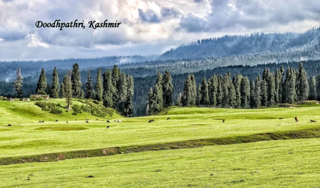 Doodhpathri Kashmir green meadow surrounded by pine forests and mountains