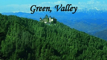 Green Valley in Himachal Pradesh surrounded by lush pine forests and Himalayan mountains