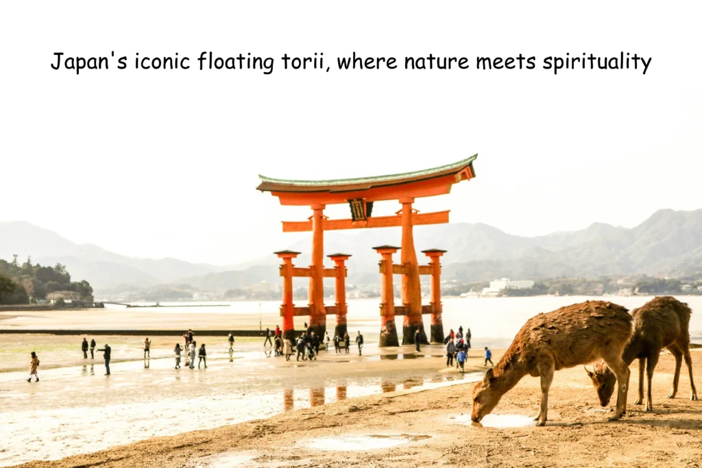 Floating torii gate at low tide with deer on the shore, Hiroshima travel guide