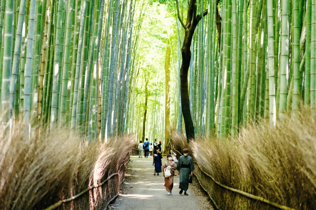 Picturesque Kyoto scenery, one of the most beloved kyoto-tourist-places in Japan