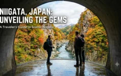 Kiyotsu Gorge tunnel in Niigata, Japan, one of the top Niigata tourist places famous for its mirror-effect river views