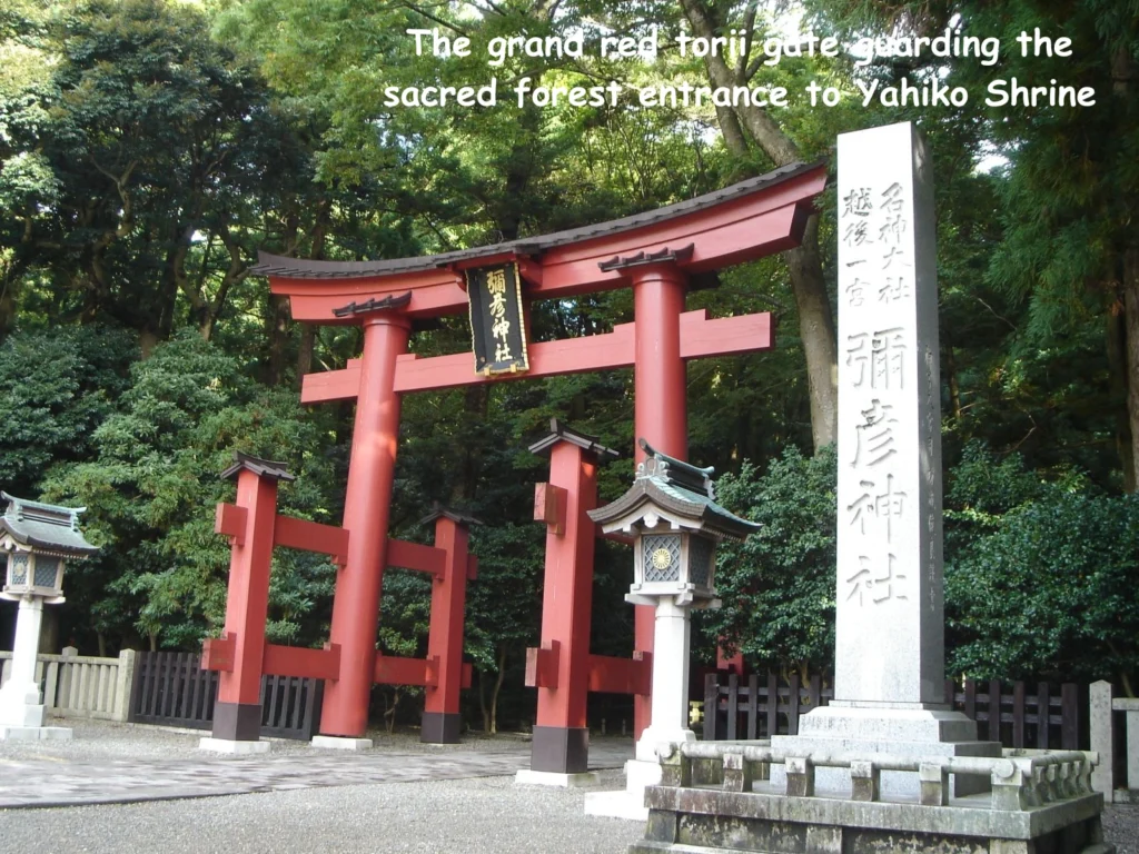 Yahiko Shrine torii gate, one of the most iconic Niigata tourist places for history and nature