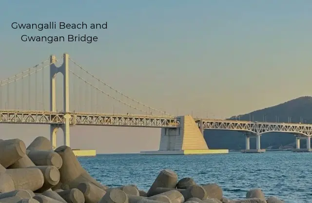 Places to visit in Busan – Night view of Gwangalli Beach and Gwangan Bridge reflecting over the sea in Busan, South Korea.