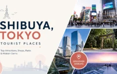 Shibuya Tokyo tourist places featuring Shibuya Crossing, Meiji Jingu, city views, and Shibuya Sky