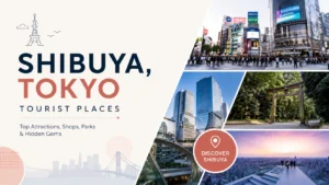 Shibuya Tokyo tourist places featuring Shibuya Crossing, Meiji Jingu, city views, and Shibuya Sky