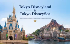 Tokyo Disneyland and Tokyo DisneySea castle and harbor view for a complete travel guide