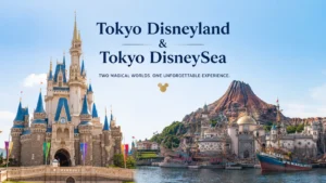 Tokyo Disneyland and Tokyo DisneySea castle and harbor view for a complete travel guide