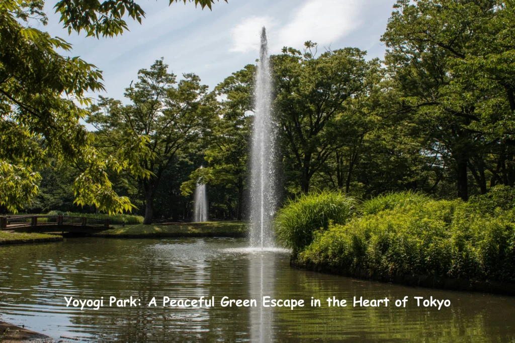 Yoyogi Park, Shibuya tourist places