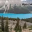 Banff National Park tours featuring the turquoise waters of Peyto Lake surrounded by evergreen forests and dramatic Canadian Rockies.