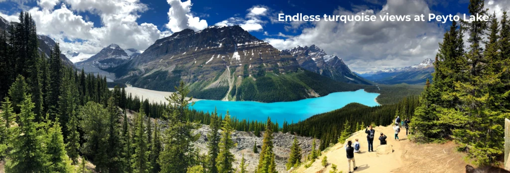 Banff National Park travel guide turquoise view of Peyto Lake