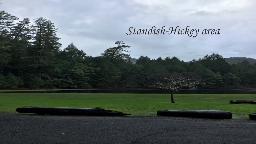 Chandelier Drive Thru Tree near Standish Hickey area