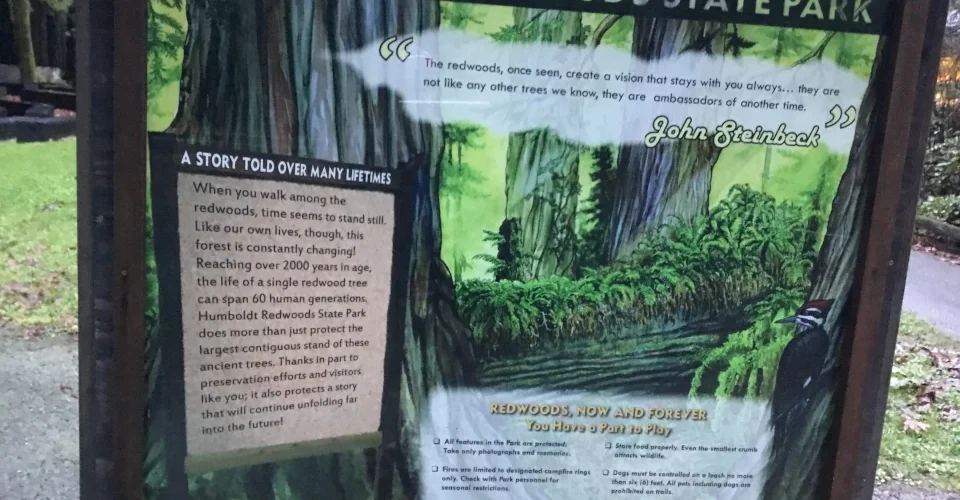 Humboldt Redwoods State Park California with giant coast redwood trees