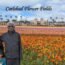 Things to do in San Diego include seeing Carlsbad Flower Fields in bloom, with colorful flowers and a beautiful family travel experience.