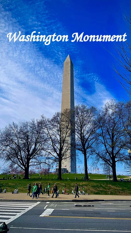Washington Monument in Washington, D.C., surrounded by trees under a blue sky