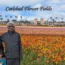 Carlsbad Flower Fields is one of the colorful things to do in San Diego, featuring vibrant flower displays, scenic views, and seasonal blooms.